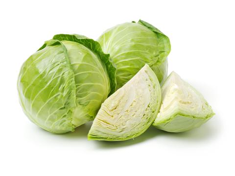 Cabbage - MarkeetEx