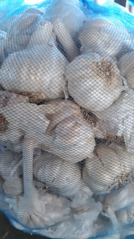 Garlic 5Kg bag - MarkeetEx