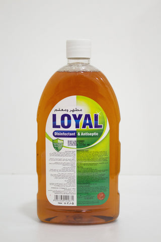 Loyal Disinfectant & Antiseptic 750ml - MarkeetEx