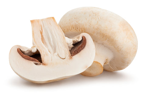 Mushroom - MarkeetEx