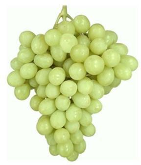 Grapes Green Ital- عنب أخضر ايطاليا - MarkeetEx