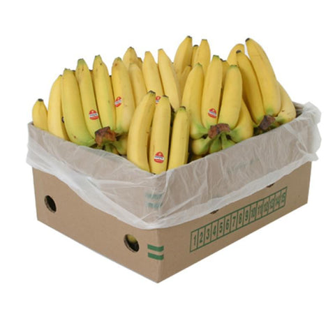 Banana Philippine 10kgs Box - MarkeetEx