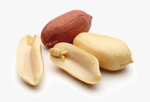 Peanut Plain Noor Gazal  - فول السوداني