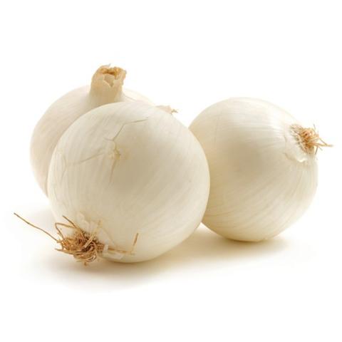 Onion White - بصل أبيض